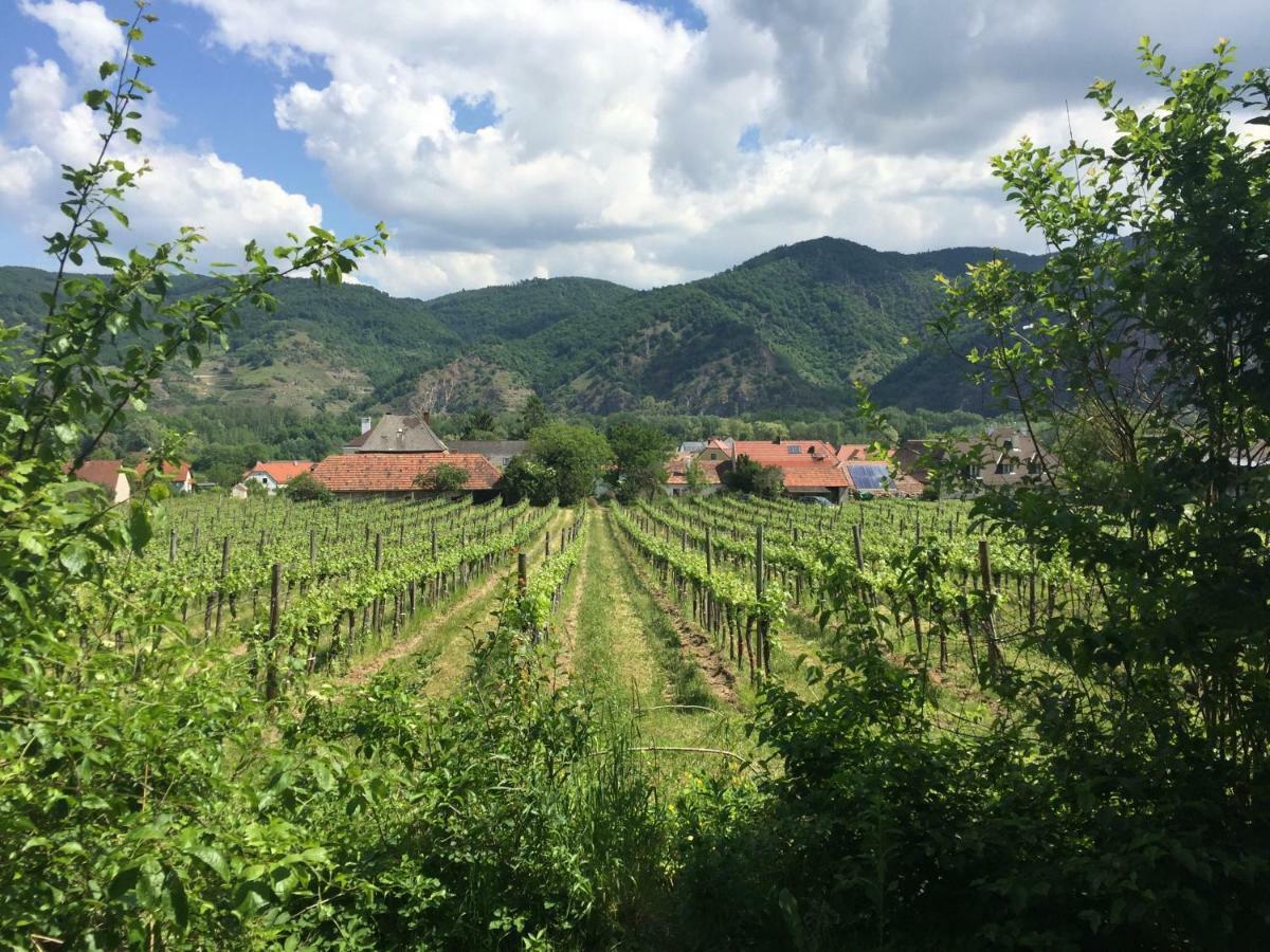 Apartment Winzerhaus Rossatz